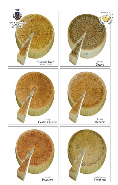 Come riconoscere il Parmigiano Reggiano "Bibbiano la Culla"